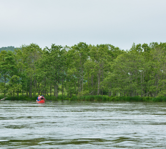 Canoeing in Kushiro Marsh