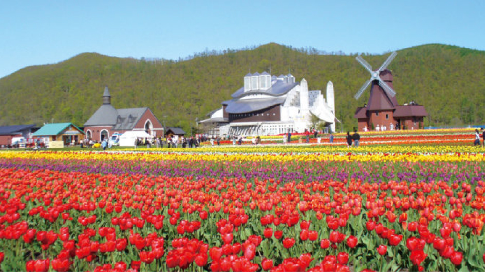 The route of the spring unique. Shibazakura & Tulip