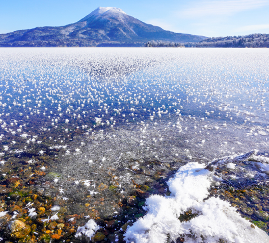 阿寒湖的雪霜花