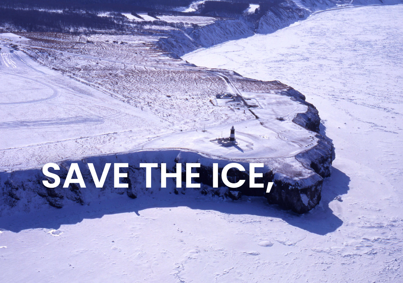 SAVE THE ICE,