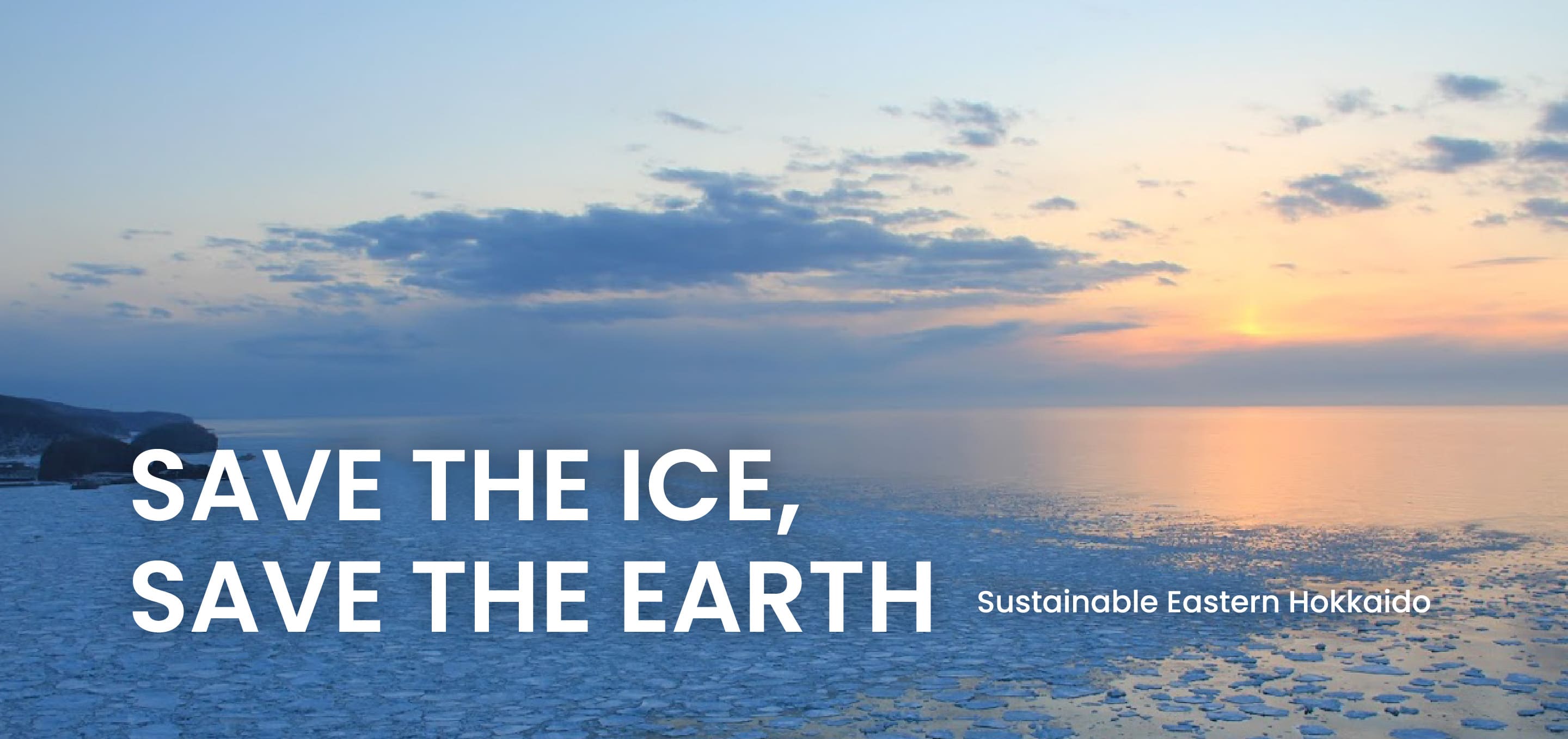 SAVE THE ICE,SAVE THE EARTH