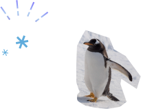 ペンギン