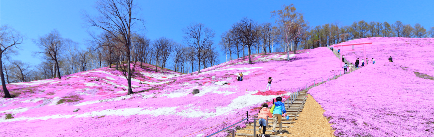 2022_spring_2