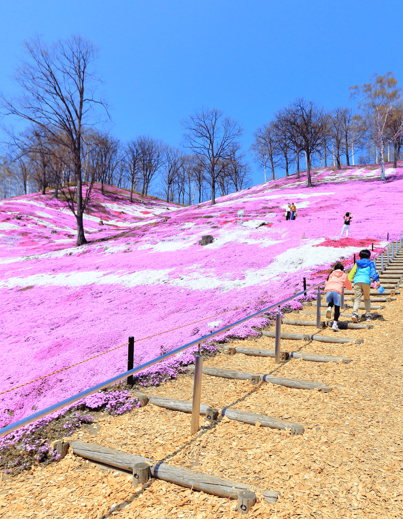 2022_spring_2