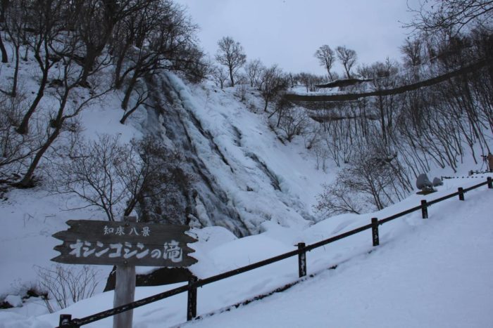 佐幌滑雪場到釧路、知床之盡　觀覽流冰之旅　【新千歲進/網走出】　4日遊　夜宿　佐幌/釧路/知床宇登呂