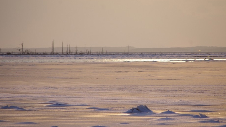 海に広がる見渡す限りの氷の大地 野付半島の氷平線