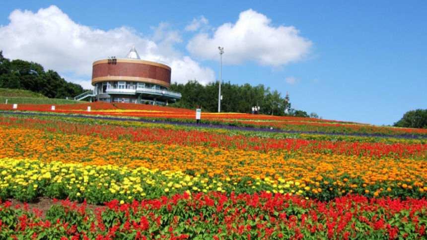 絶景と花に感動 網走の花スポットまとめ 公式 ひがし北海道トラベルラボ